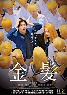 菠萝在线观看高清电视剧免费